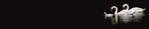 Ж-0022-0072 2843